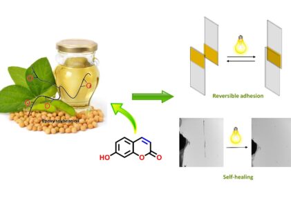 『ACS Applied Polymer Materials』に論文が発表されました